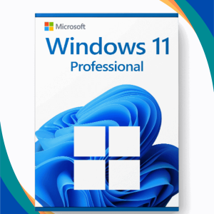 Windows 11 Pro