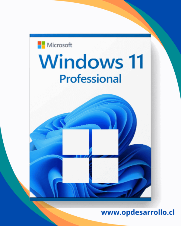 Windows 11 Pro